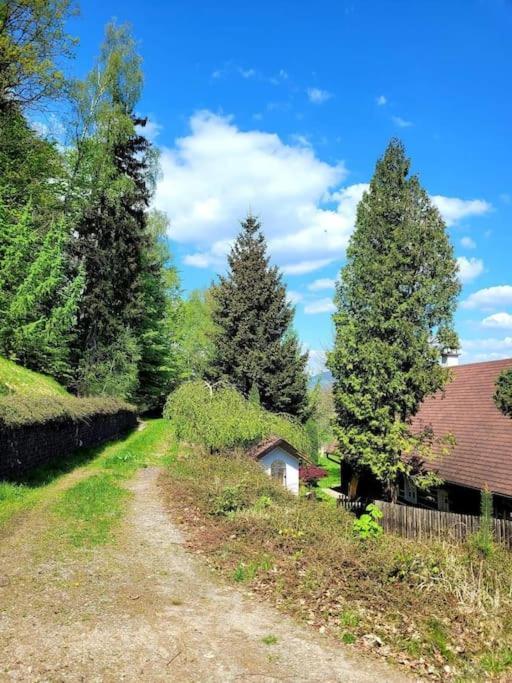 Roubenka U Kaplicky Villa Liberec Buitenkant foto