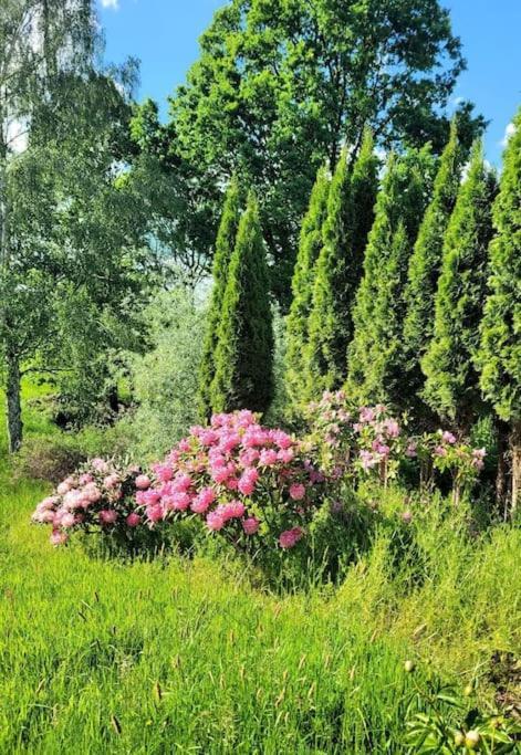 Roubenka U Kaplicky Villa Liberec Buitenkant foto
